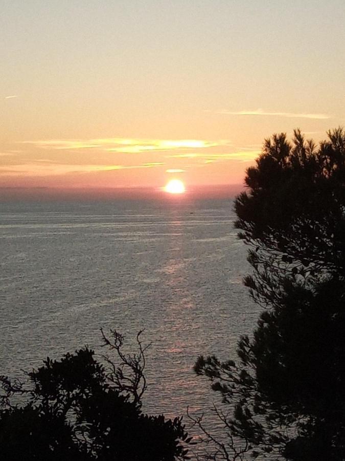 Tamaris Bay Apartment La Seyne-sur-Mer Bagian luar foto